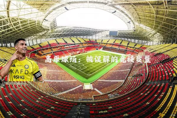 高原球场:被误解的竞技变量